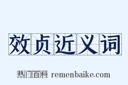 效贞近义词是什么意思的图片